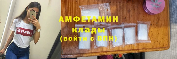 СК Новодвинск